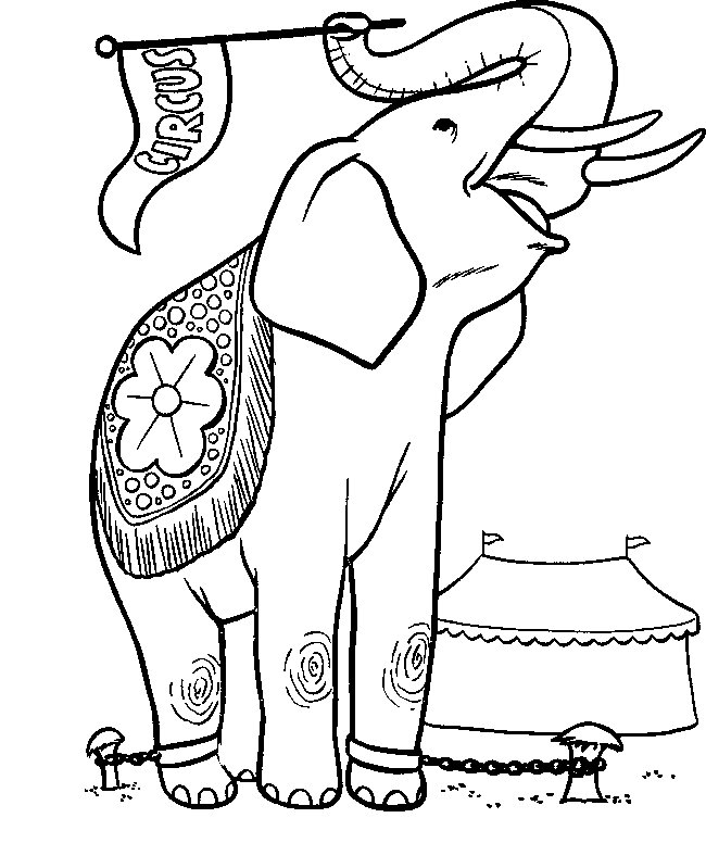Plansa de colorat cu Elefant 24 17